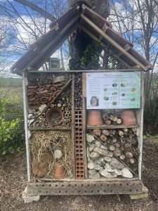 cabane insectes