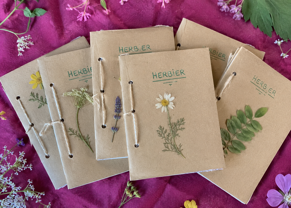 Création d'un herbier lors d'un atelier pédagogique nature