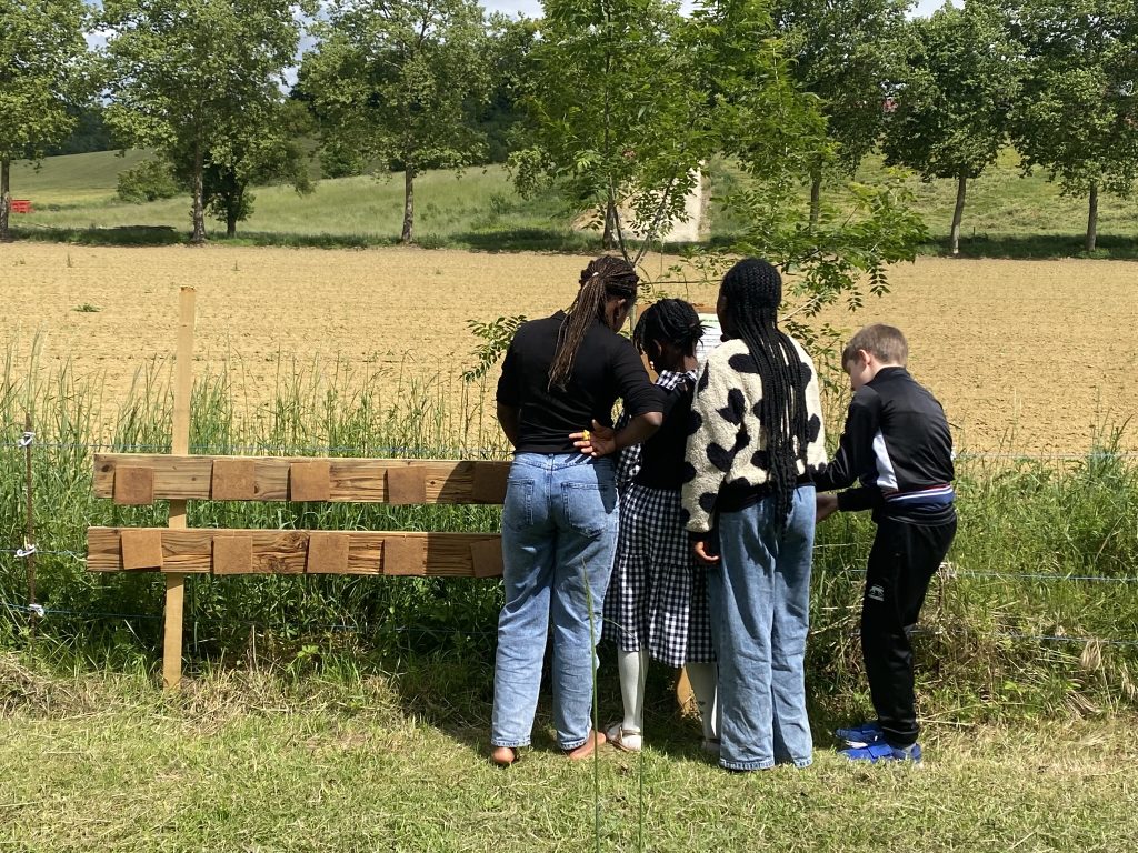 Jeu de memory des fleurs lors d'une sortie scolaire nature dans le Gers