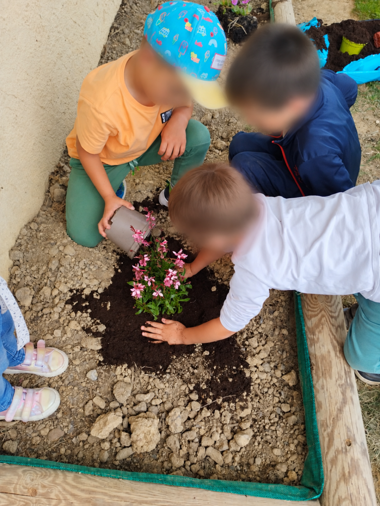 Atelier nature avec des enfants en centre de loisirs