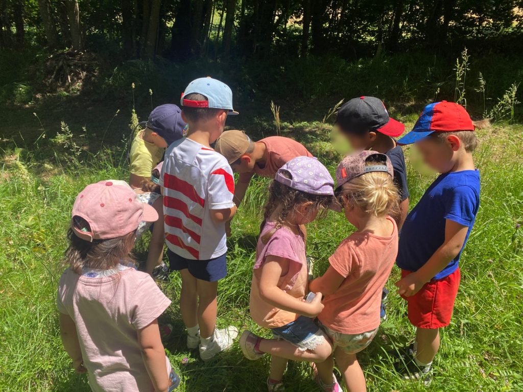 activite-nature-enfants-moulin-decouvertes-gers