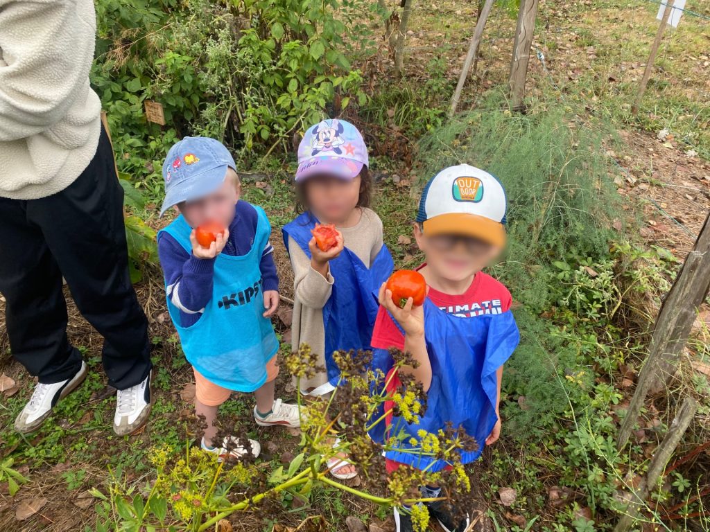 Enfants découvrant les tomates du potager lors d'une activité nature